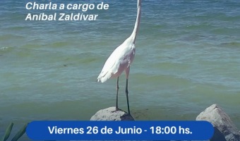 POES�A FRENTE AL MAR
